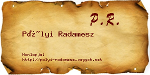 Pályi Radamesz névjegykártya